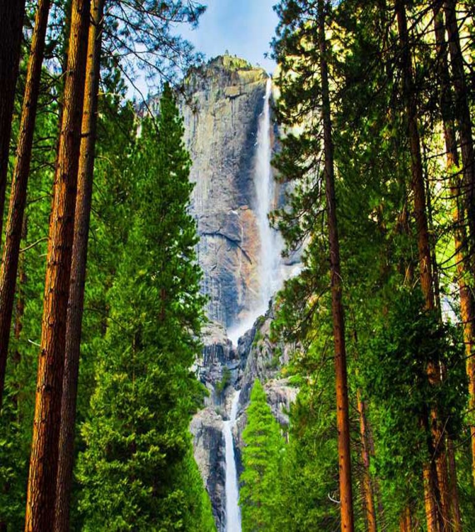 Attractions - YOSEMITE SIERRA INN