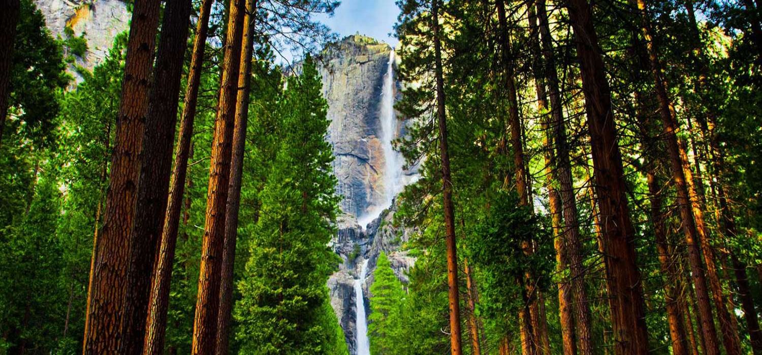 Attractions - YOSEMITE SIERRA INN