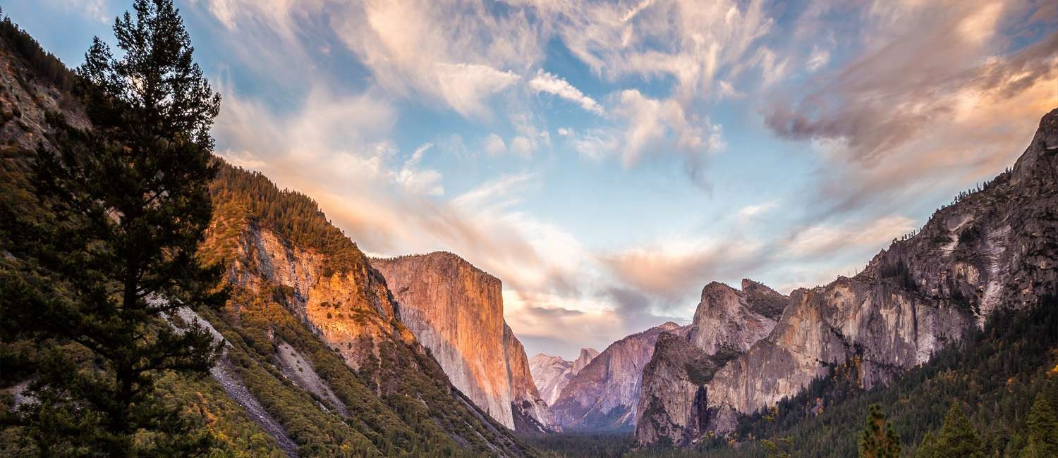 Gallery - YOSEMITE SIERRA INN